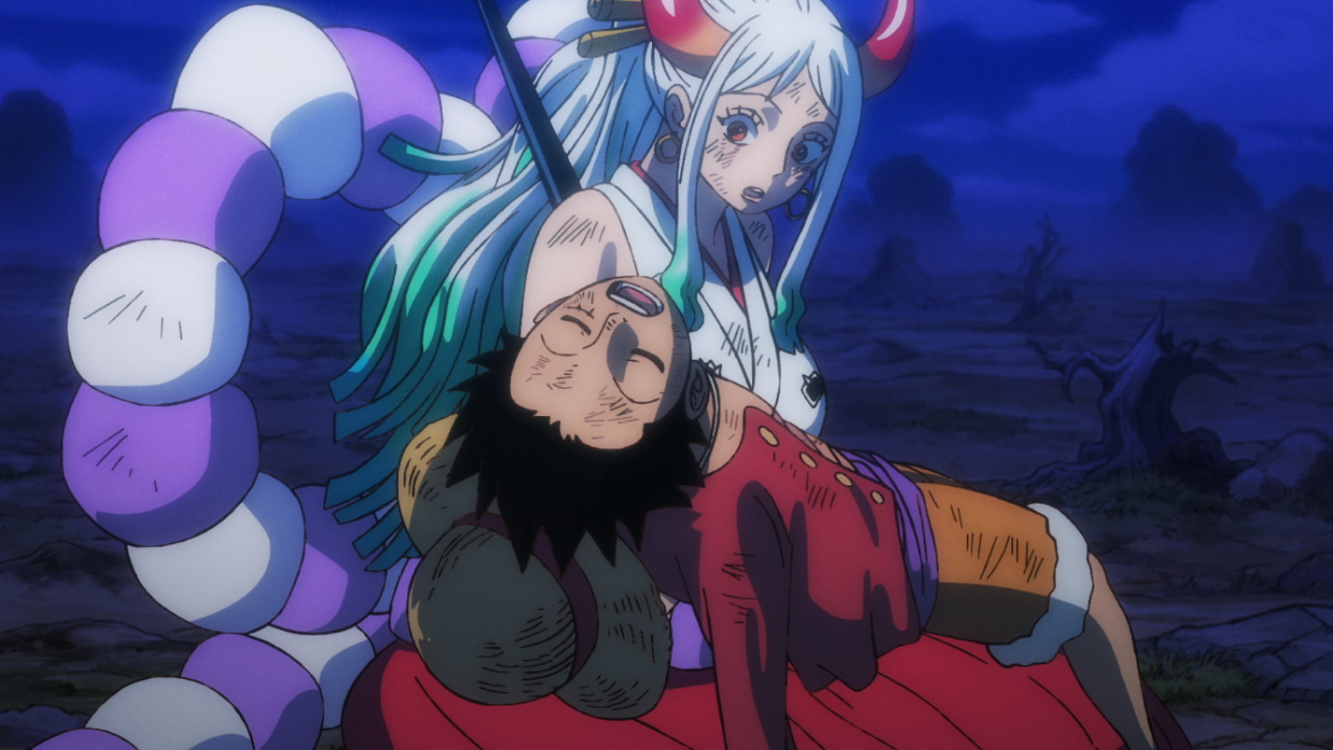 幕引き！勝者　麦わらのルフィ！