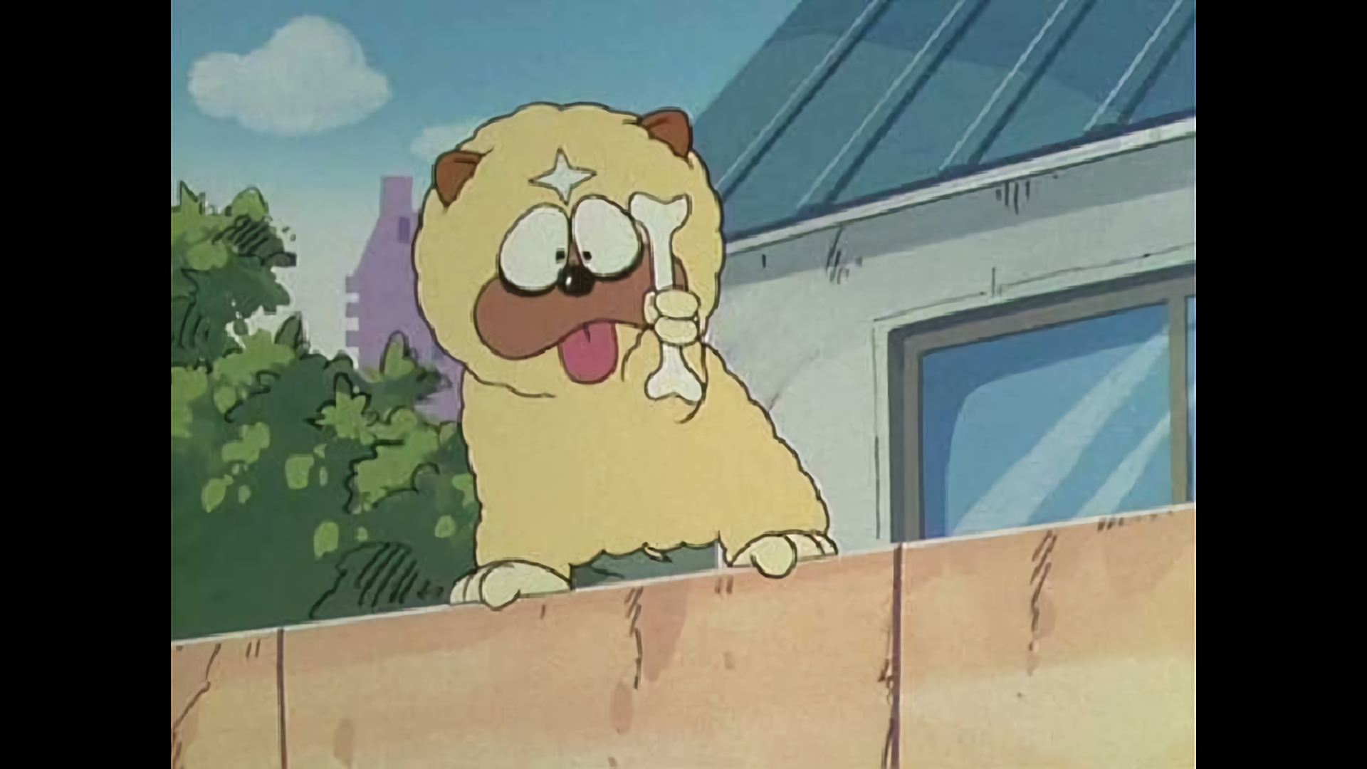 獅子丸には参ったでござるの巻