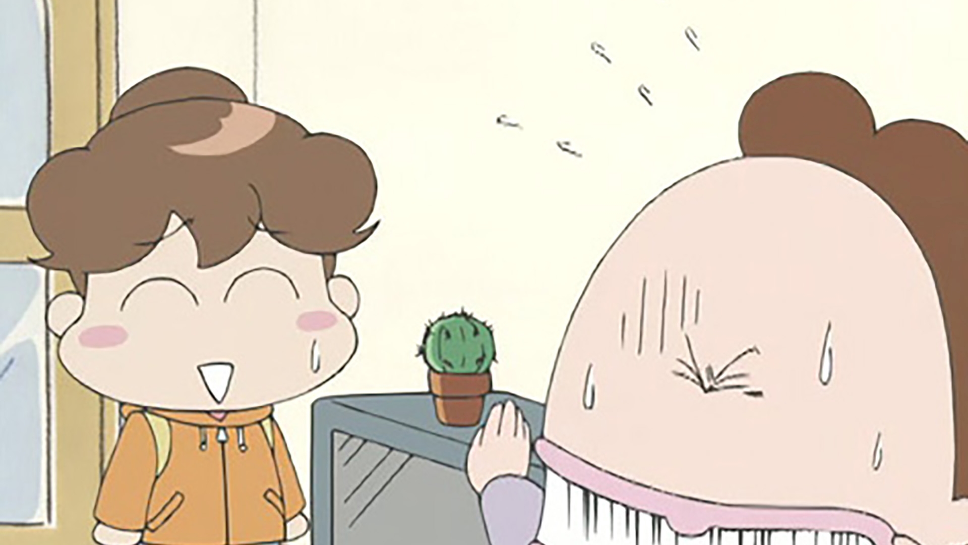 サボテンは見ている