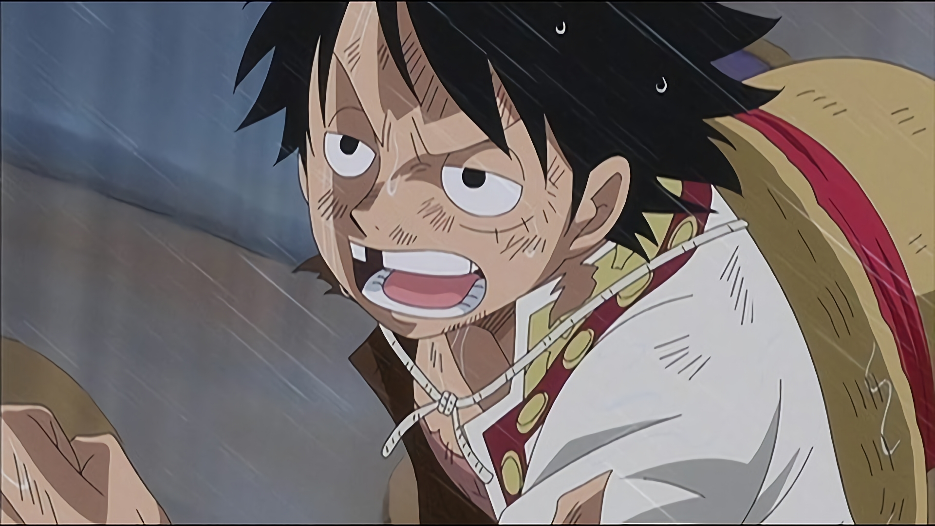 別れの決意 サンジと麦わら弁当