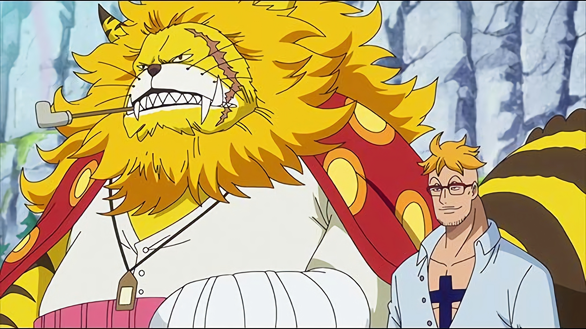 マルコ！白ひげの形見の守護者