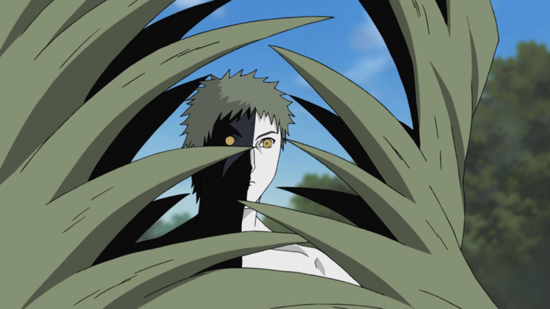 新米教師イルカ