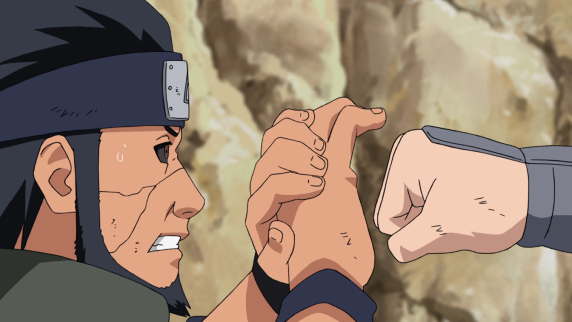 完璧な猪鹿蝶！！