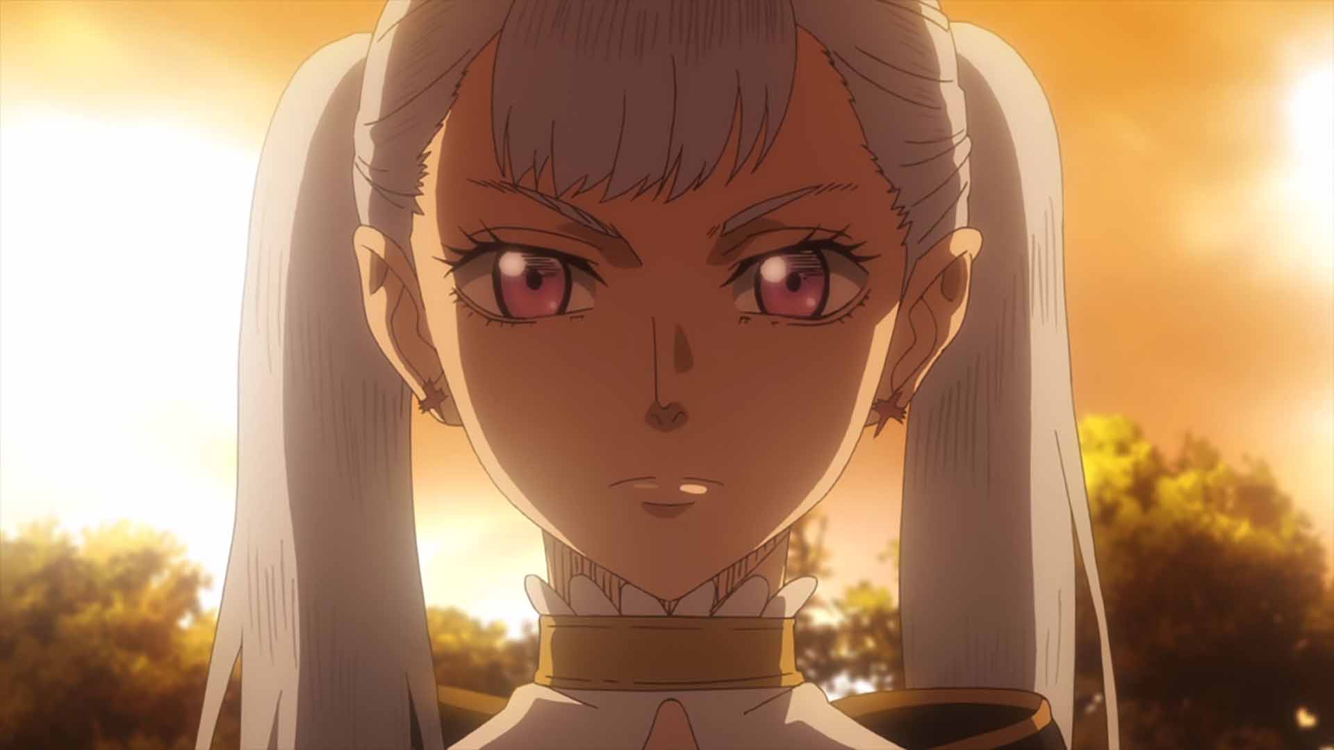 もう一人の新入団員