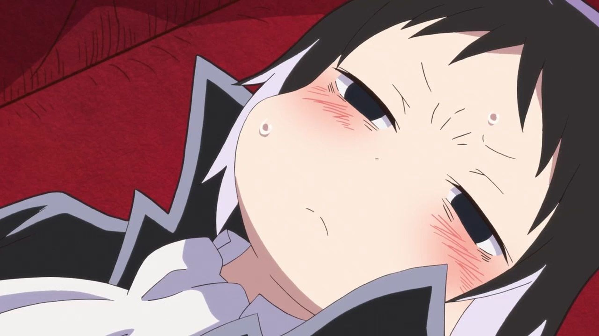 08 第8わん！