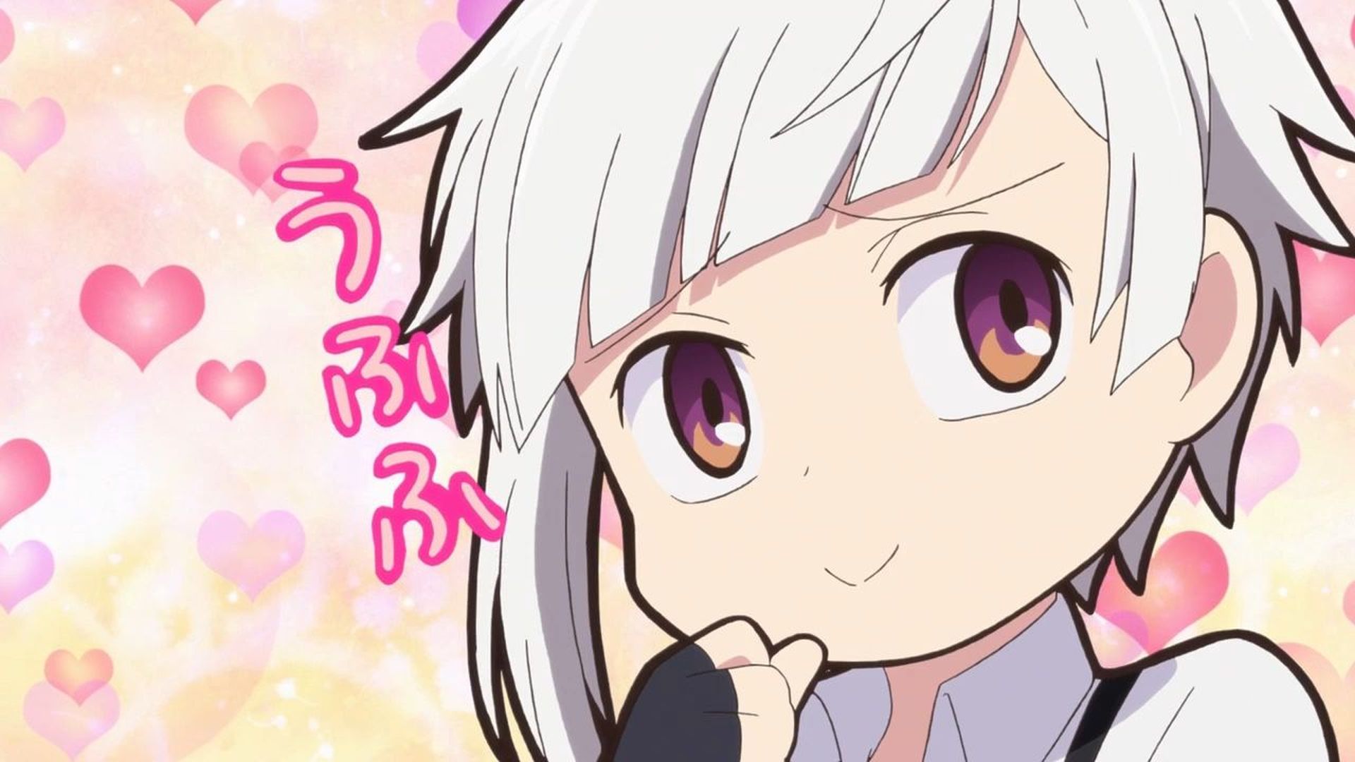 12 第12わん！