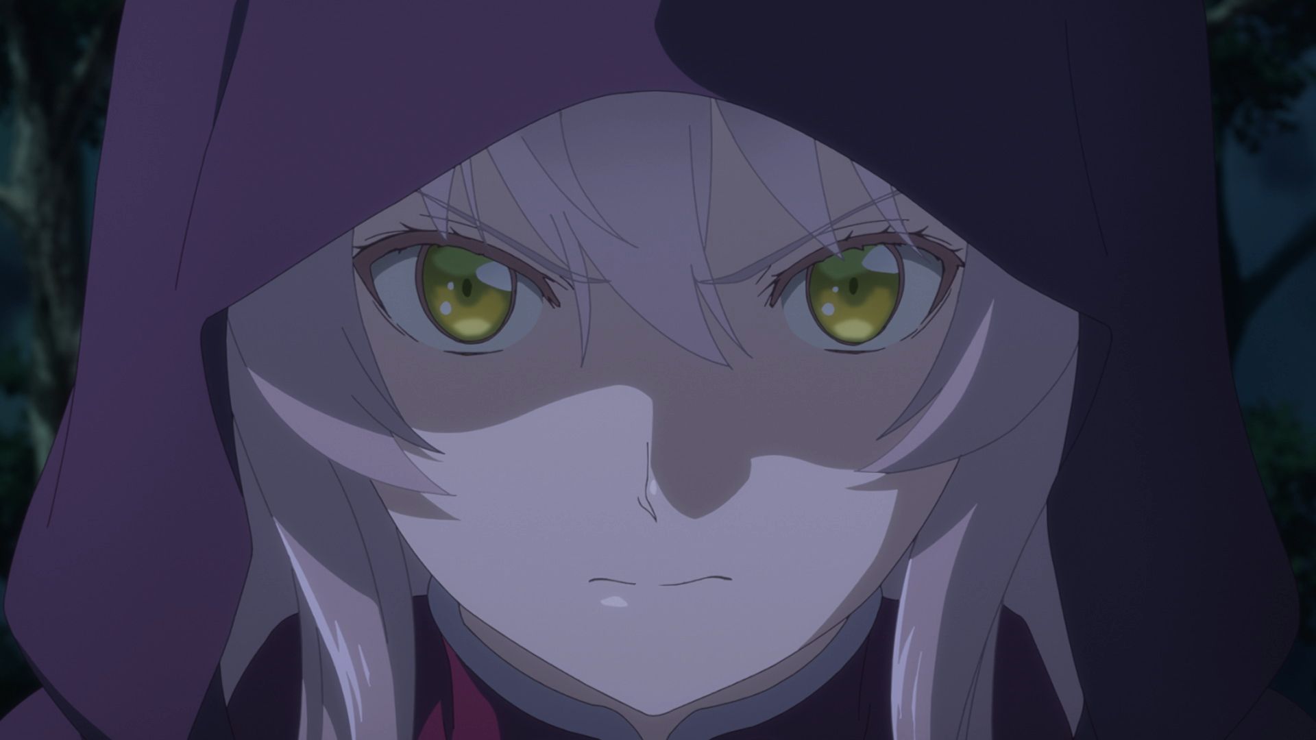 凜々しきエルフは同胞が為に舞う