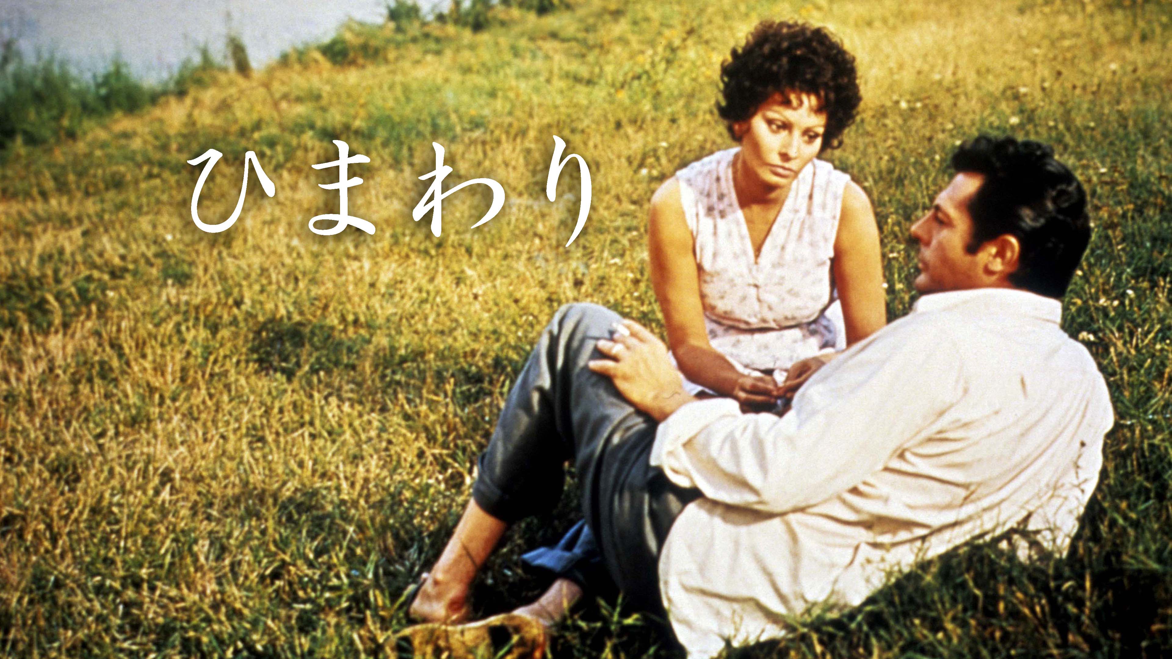 （吹替版）ひまわり