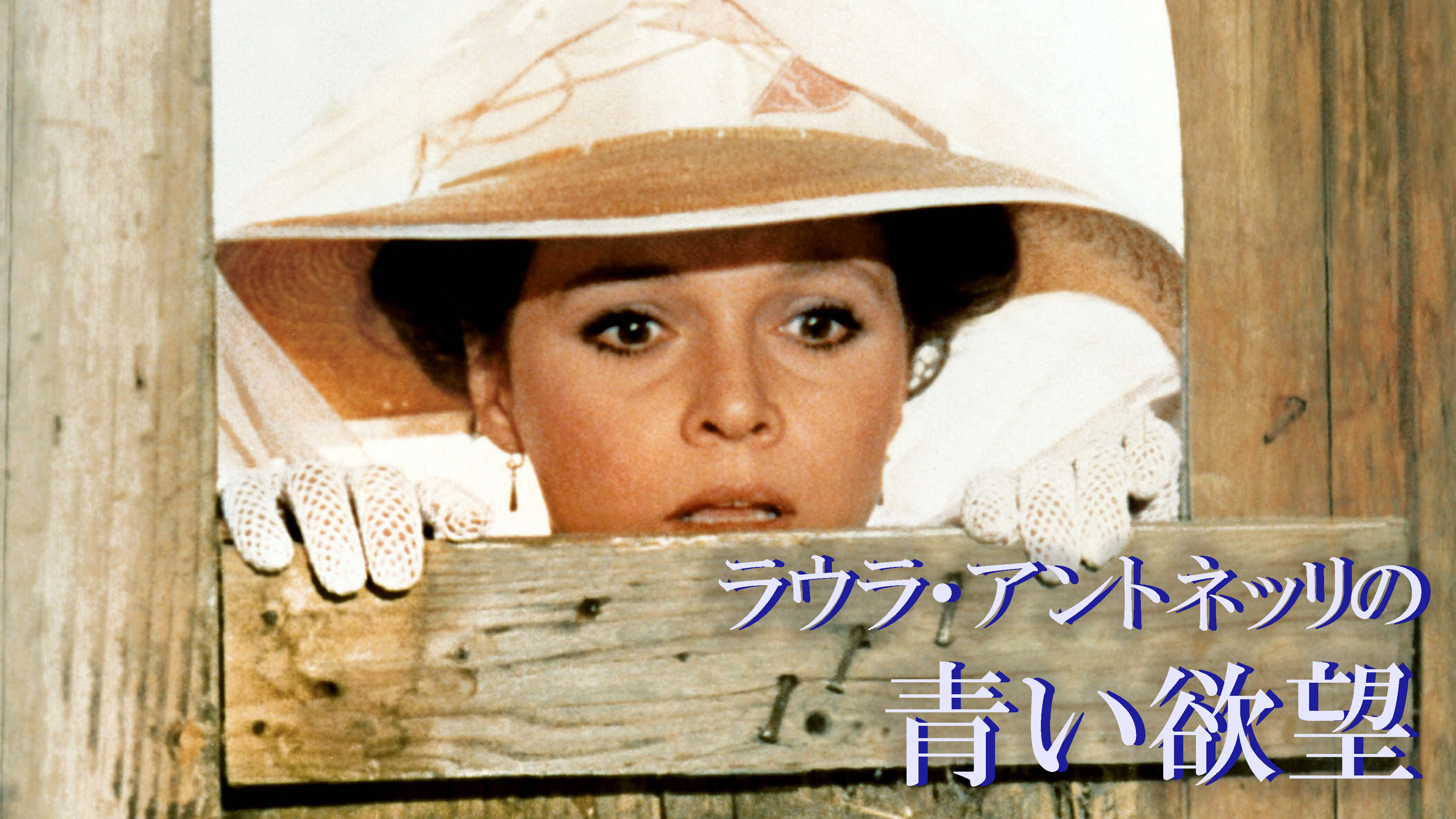 （字幕版）ラウラ・アントネッリの青い欲望