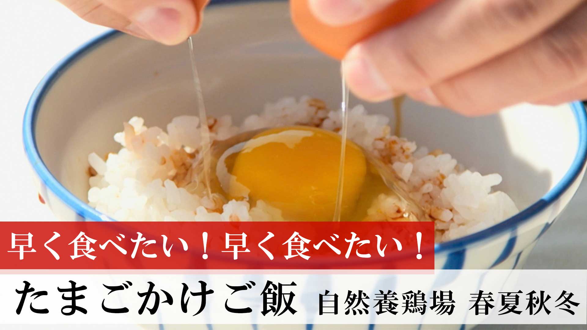 卵かけご飯