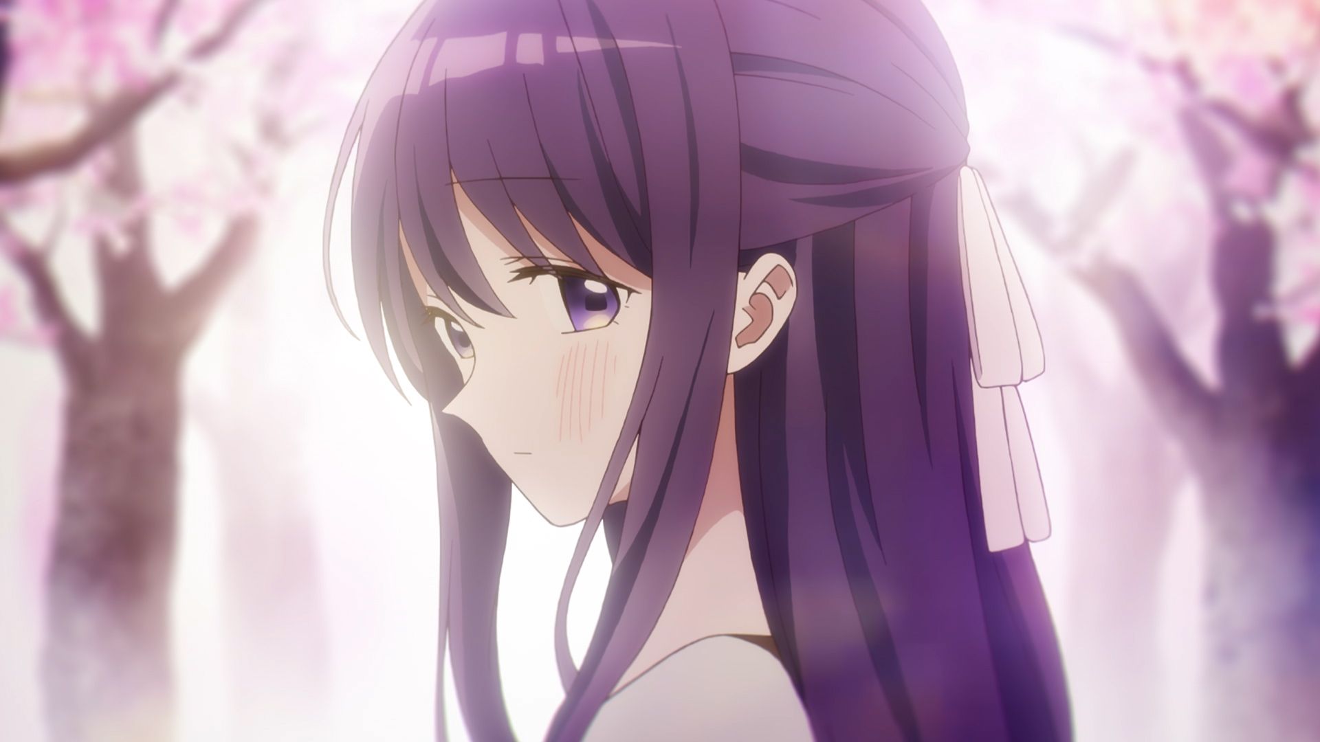 お花見とすれ違い