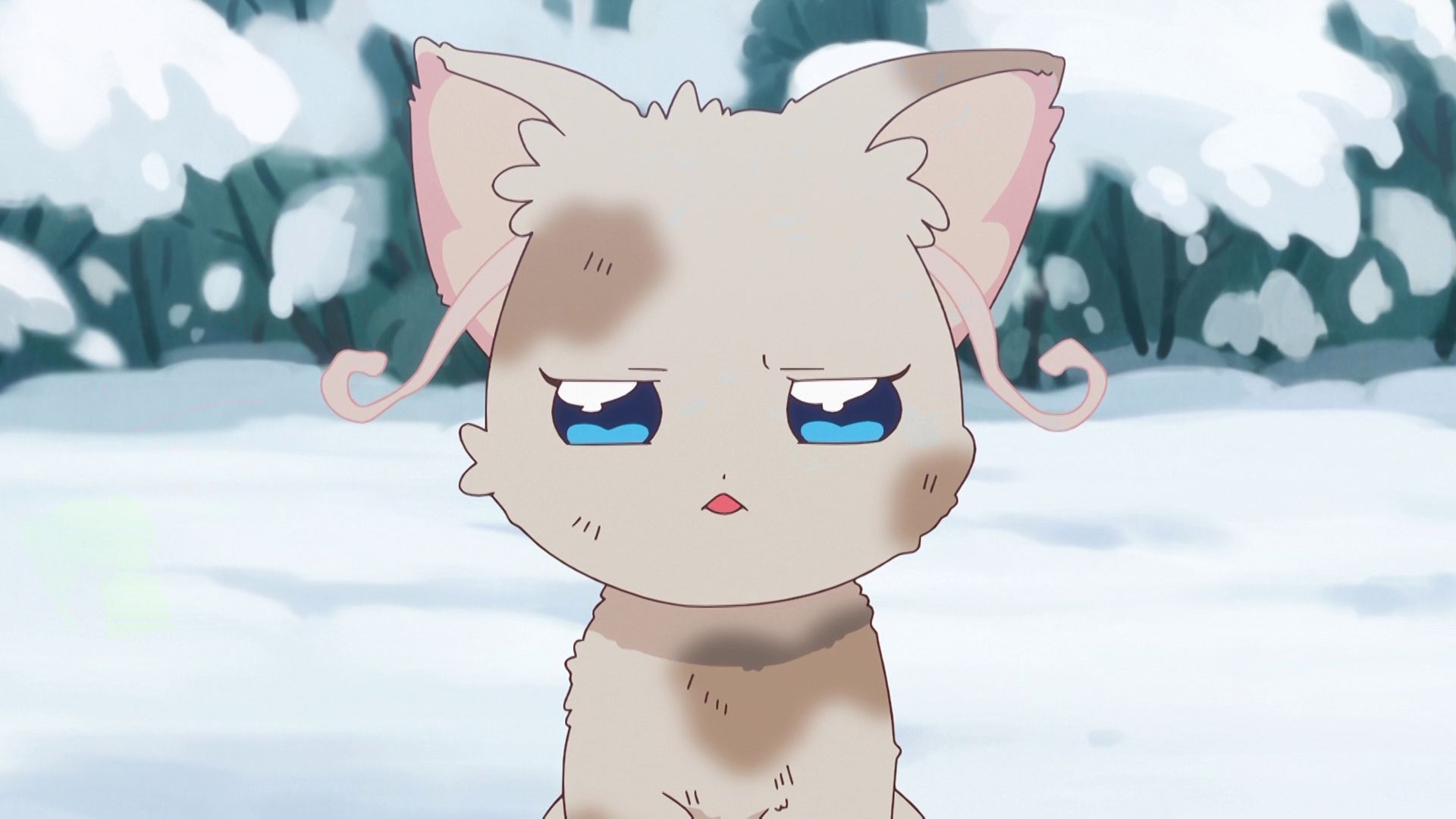 第10話 ユキの中の思い出