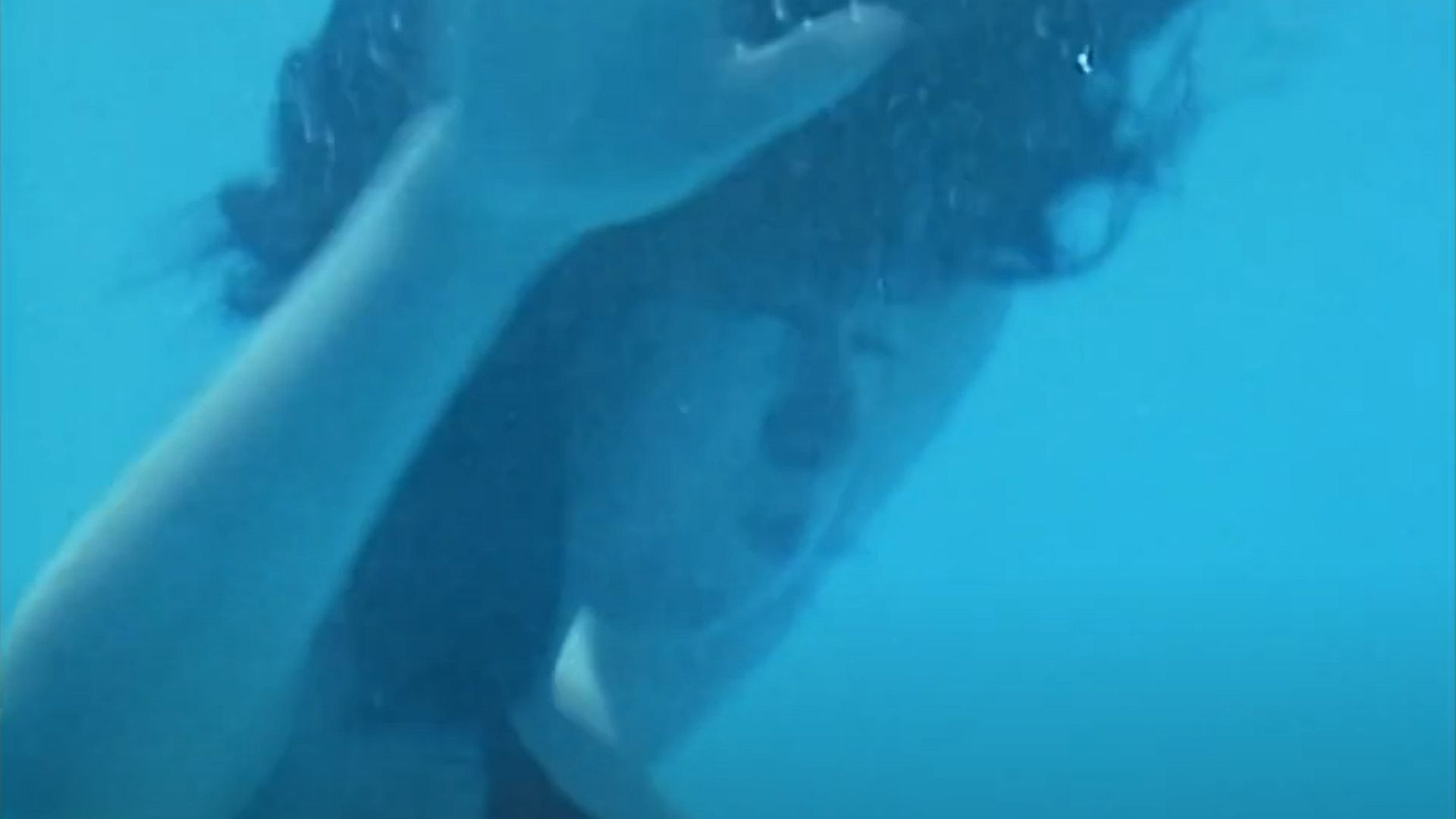 さらば海の恋人よ!