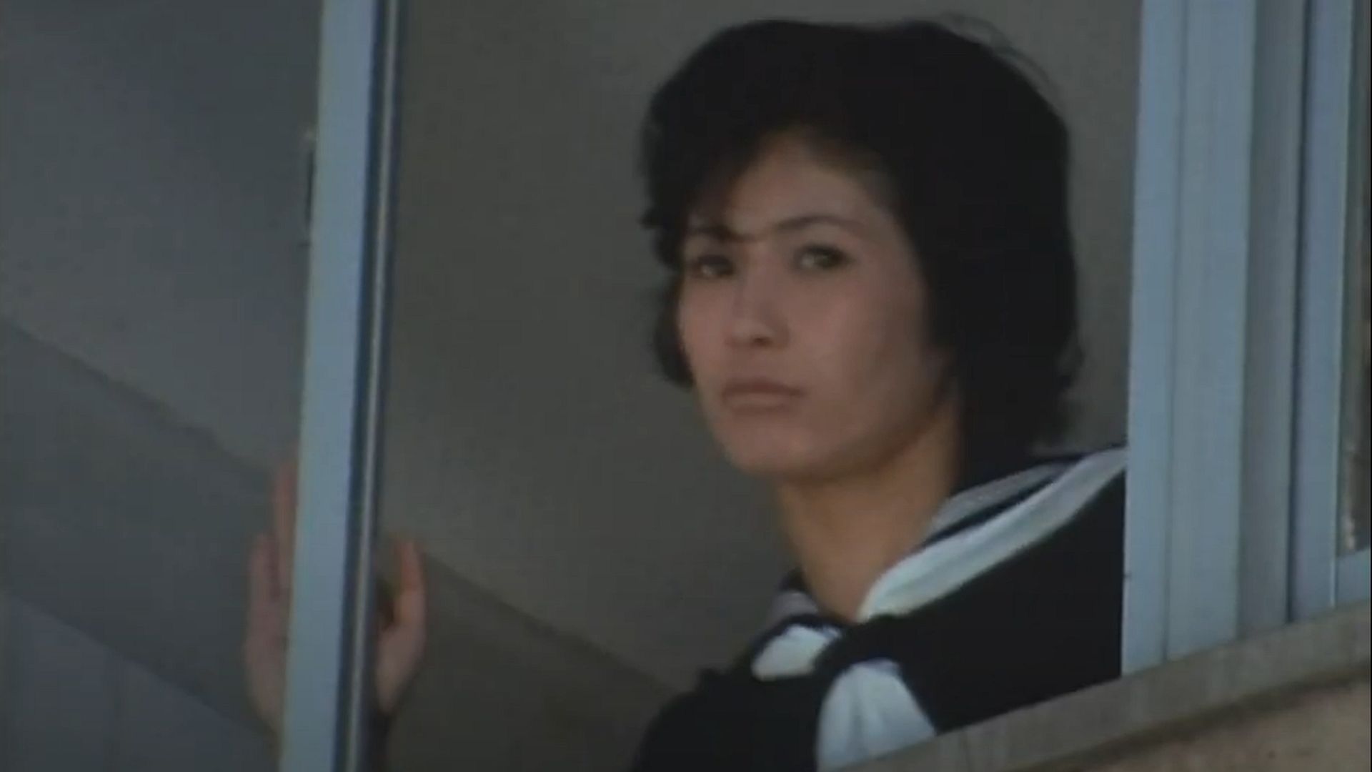 北風に向って突っ走れ!