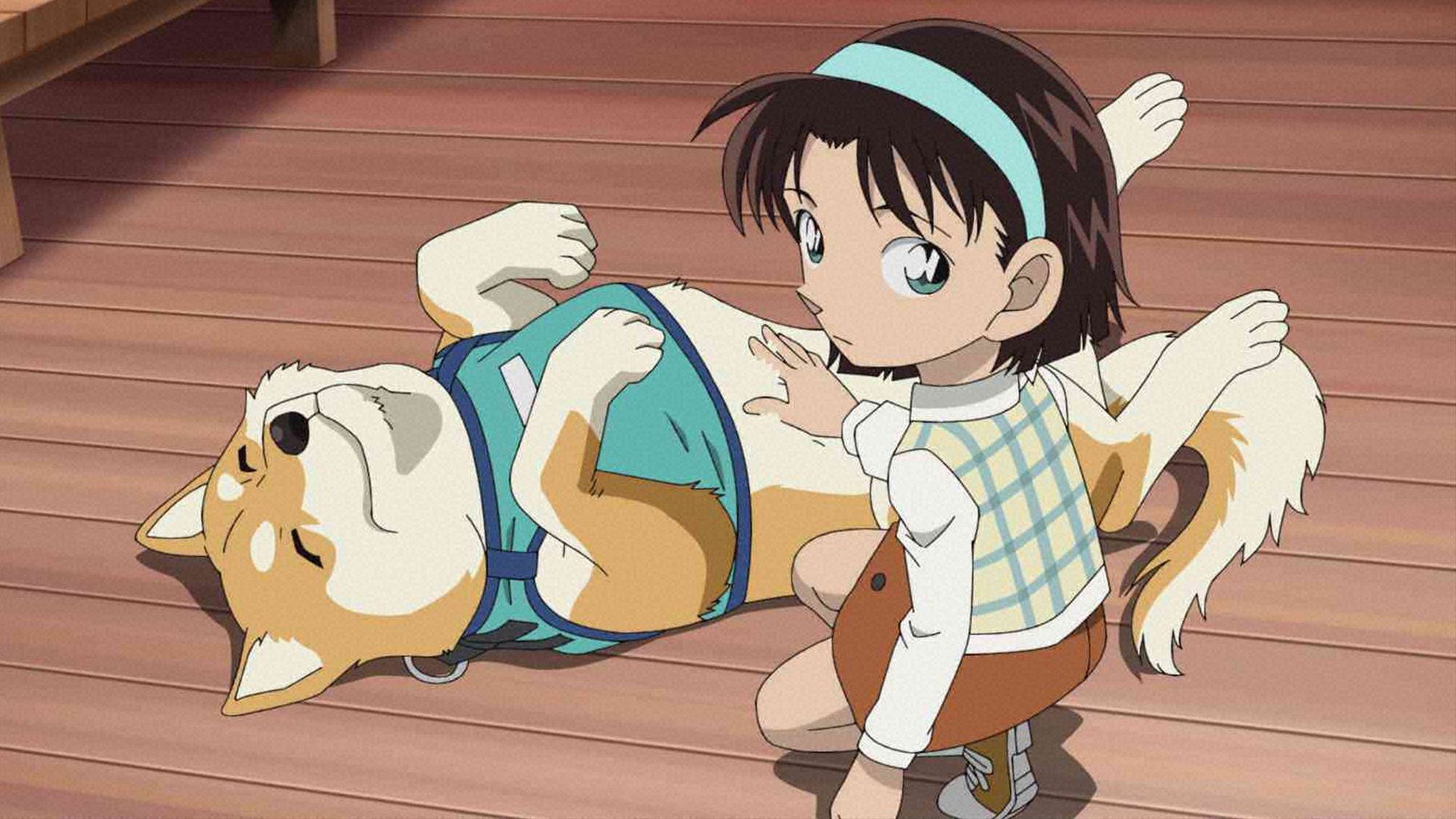 愛犬パン君はおりこうさん