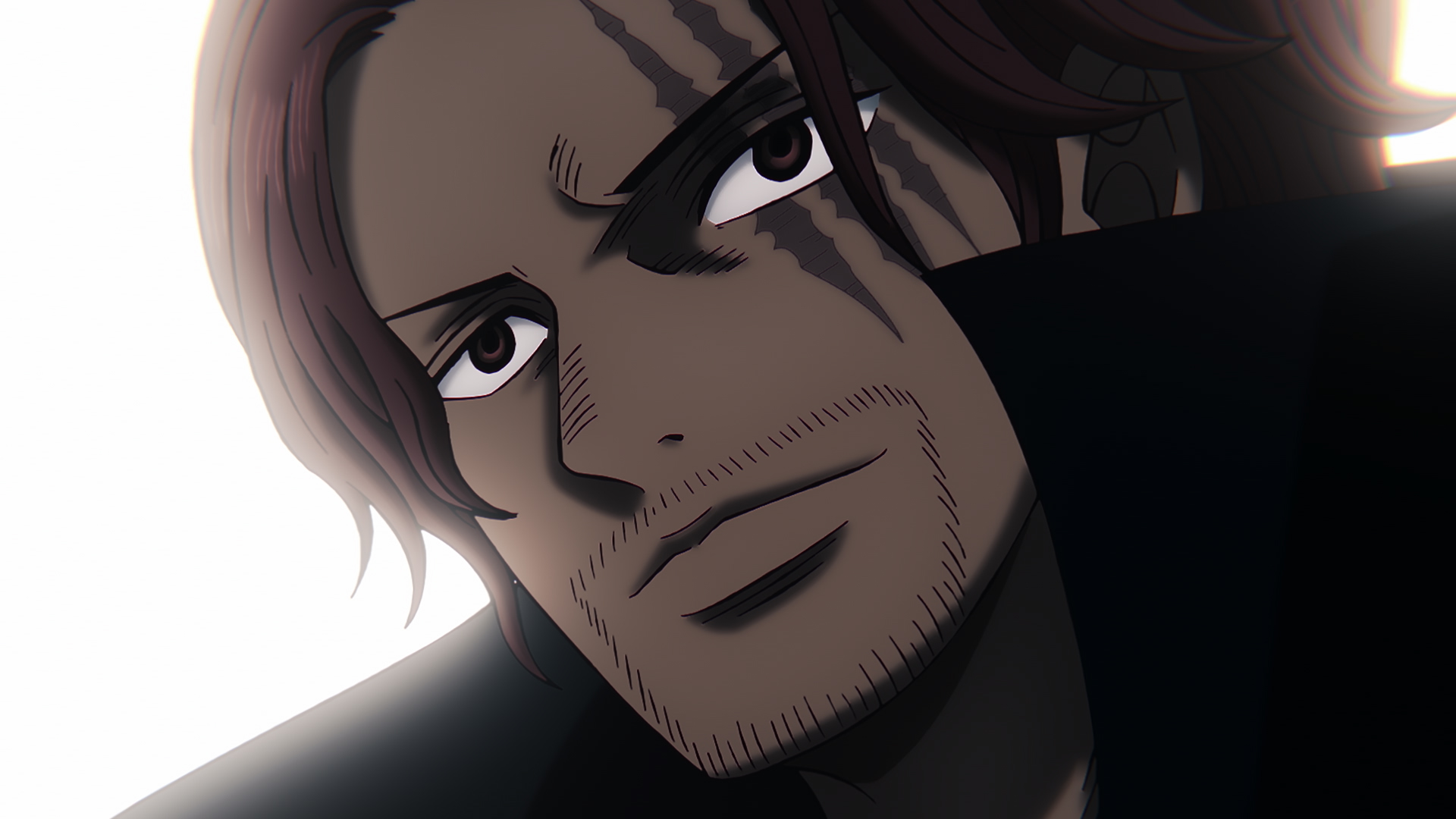 時代のうねり！ルフィを導く覇王色