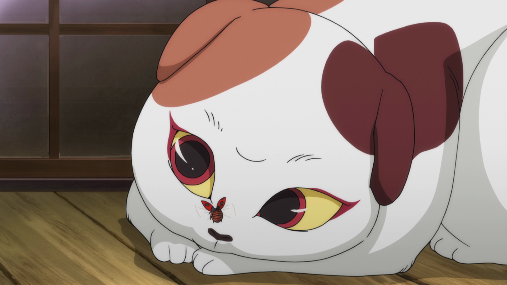 6期6話 厄運のすねこすり