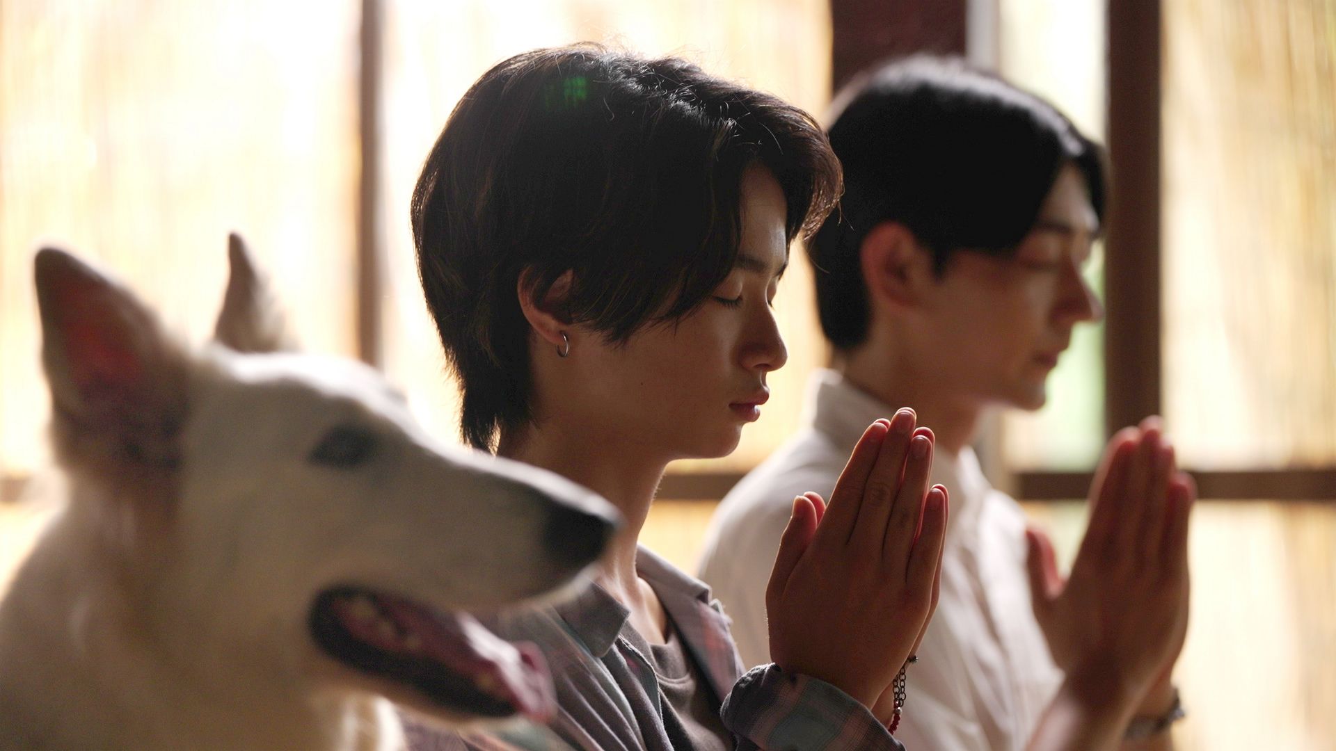 第1話 ブルーベリーと車海老