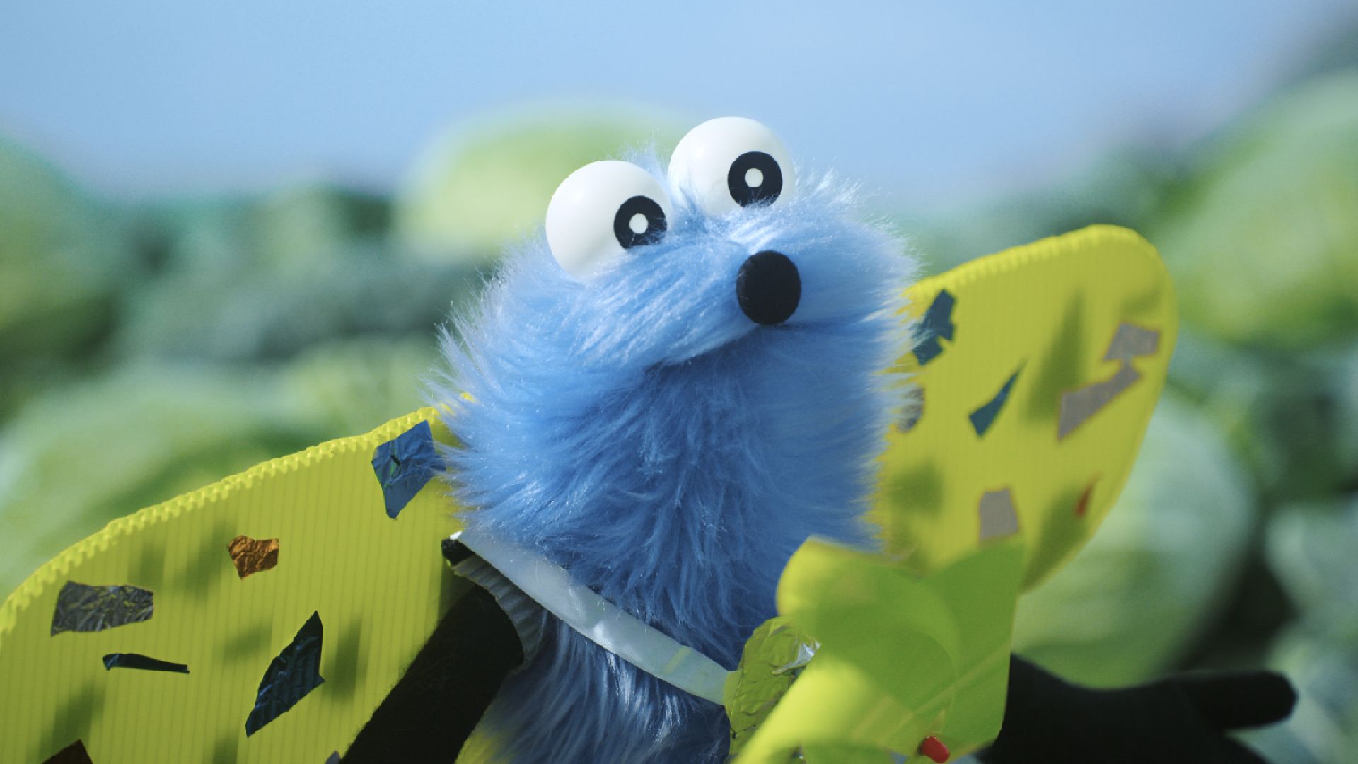 ふた／きょうそう