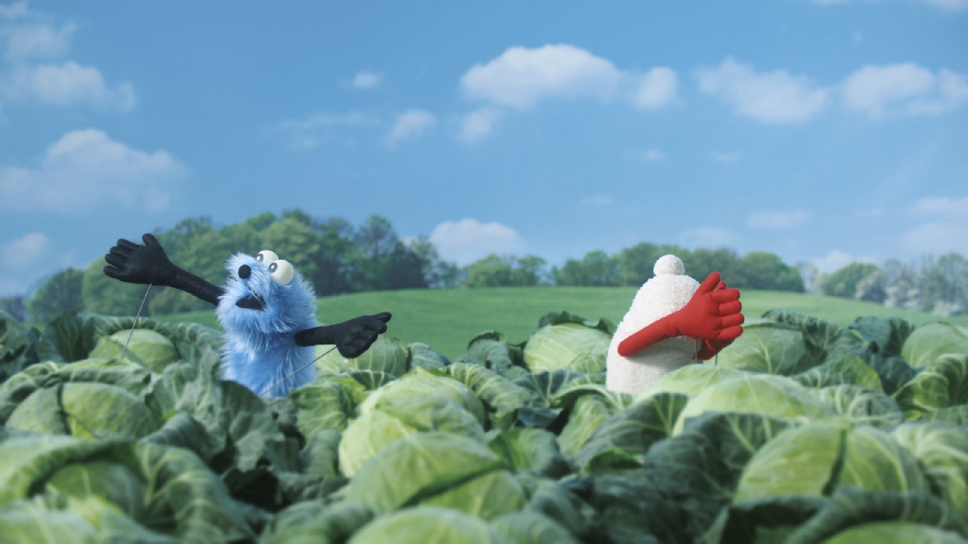 かくれんぼ／まめ