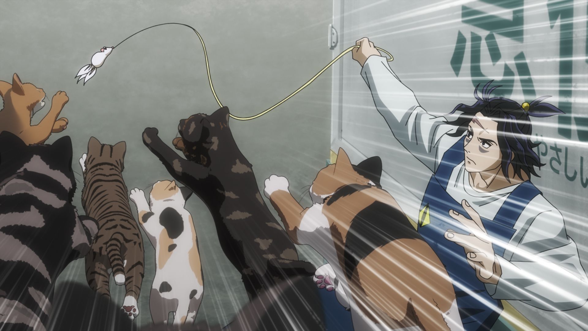 今宵ねこら星を奪う