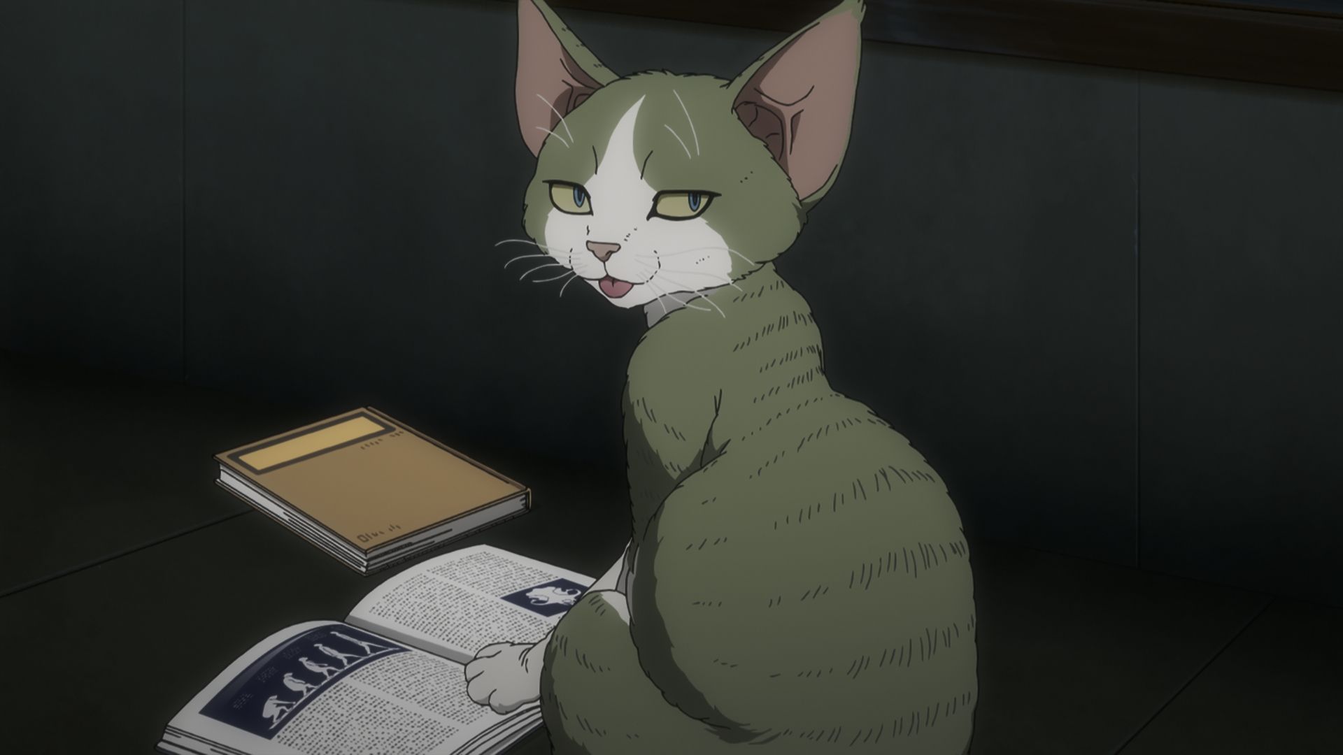 遊星からの猫D-REX