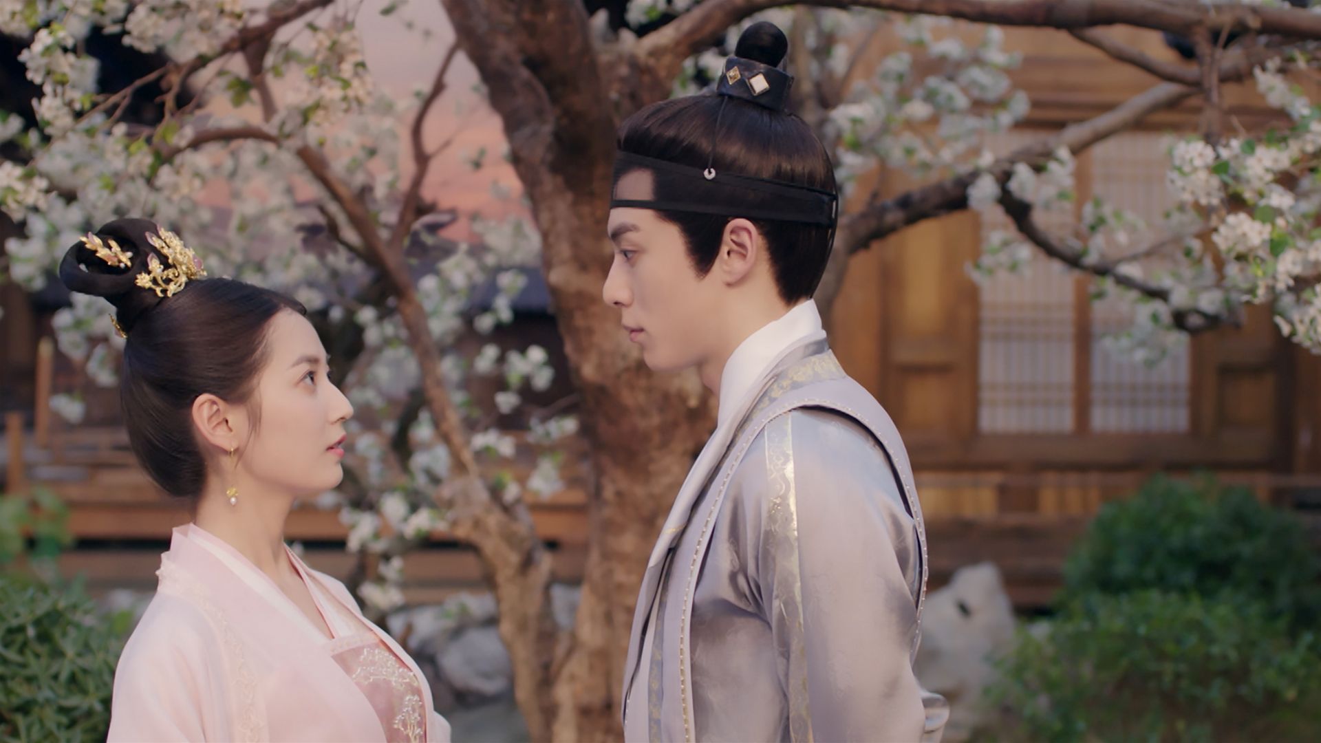 （字幕版）「花の教育」