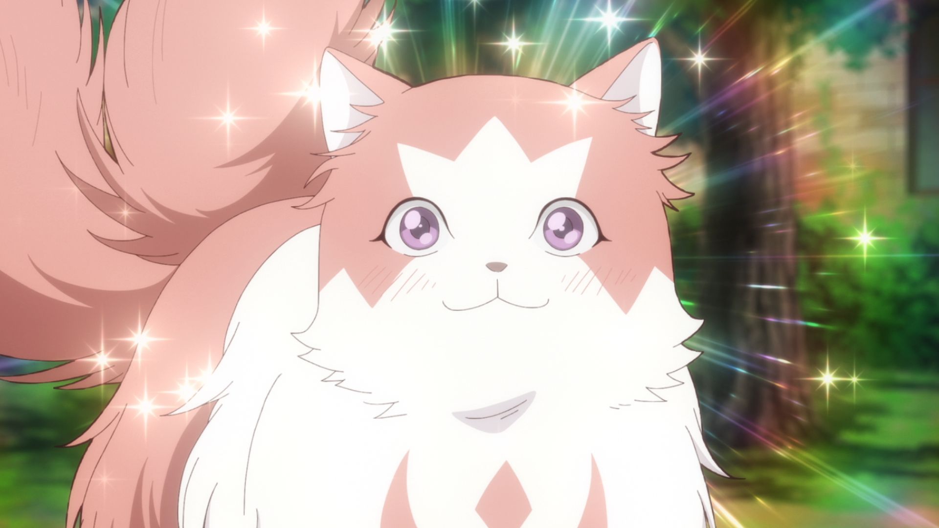 母猫の帰還