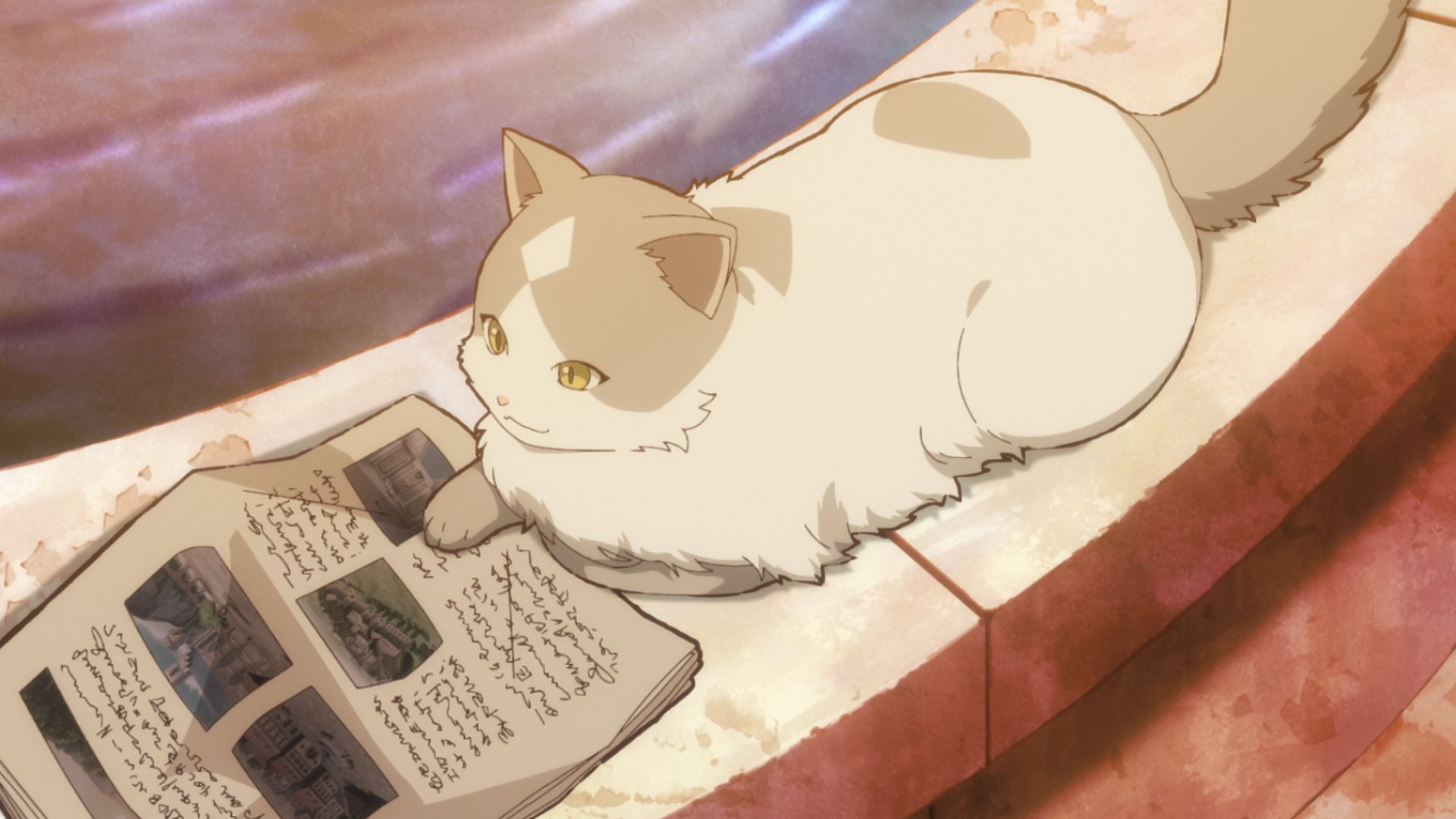 城下町の生活＆黒猫と冒険王子
