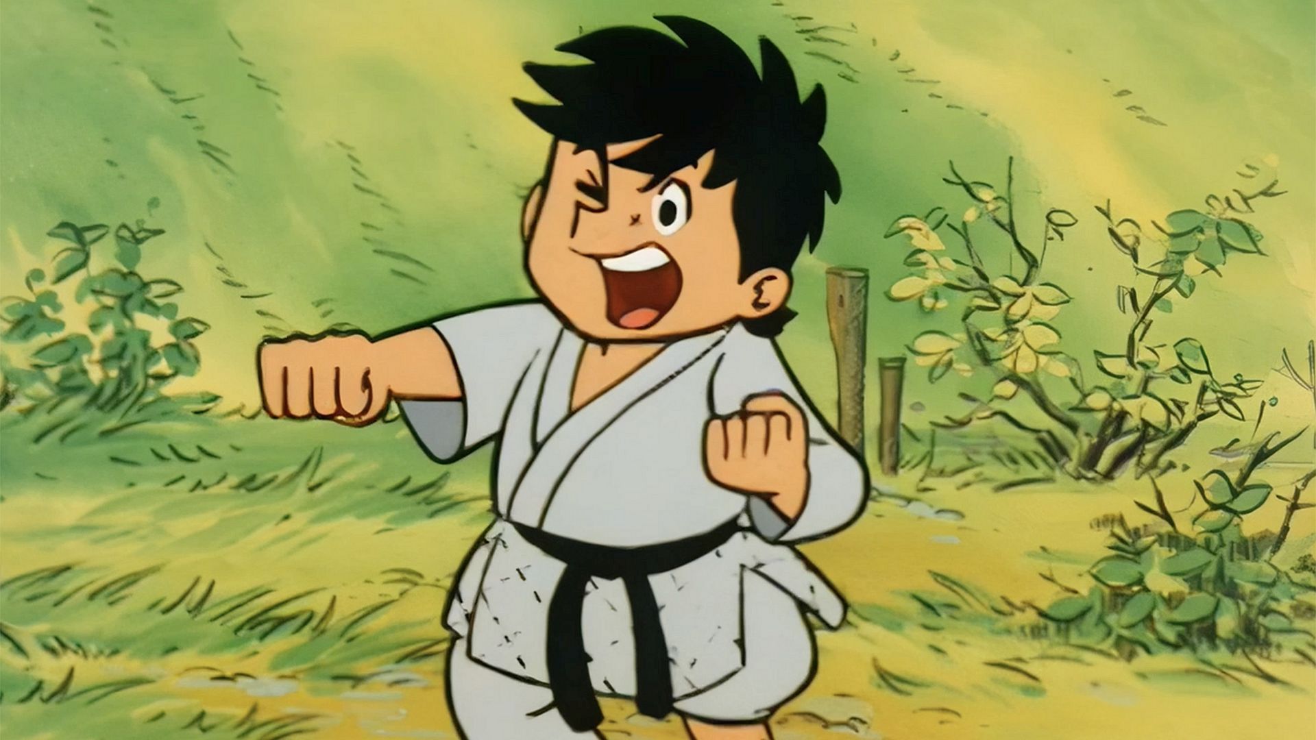 俺は黒帯三四郎