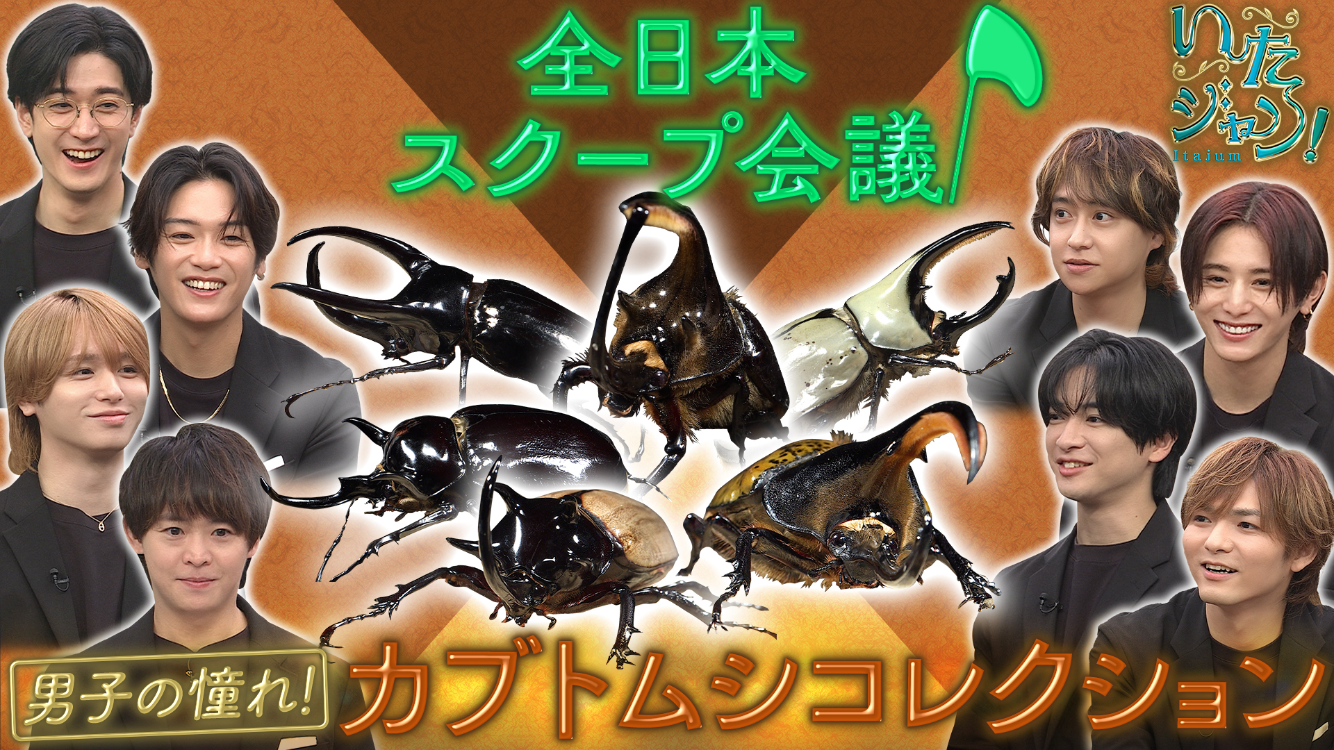 第60回 ▽子供たちの憧れ！カブトムシ！