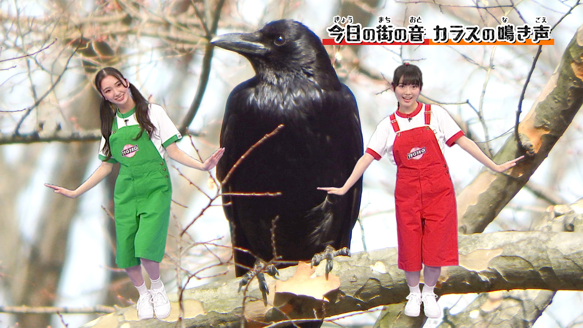 キラミサがカラスの声で激カワダンスを披露！
