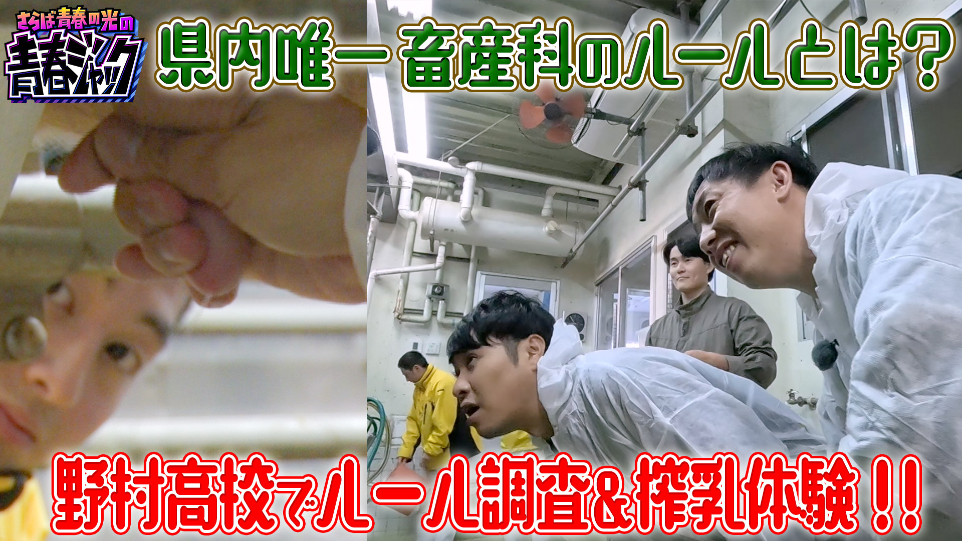 東ブクロの乳しぼり体験！県内唯一の畜産科のルールとは？