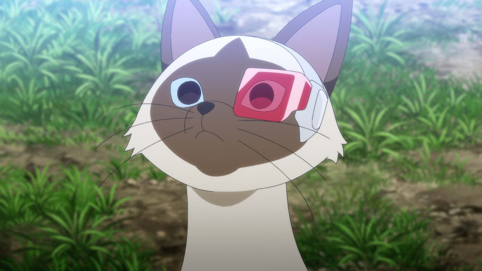 タフでニャくては生きていけニャい