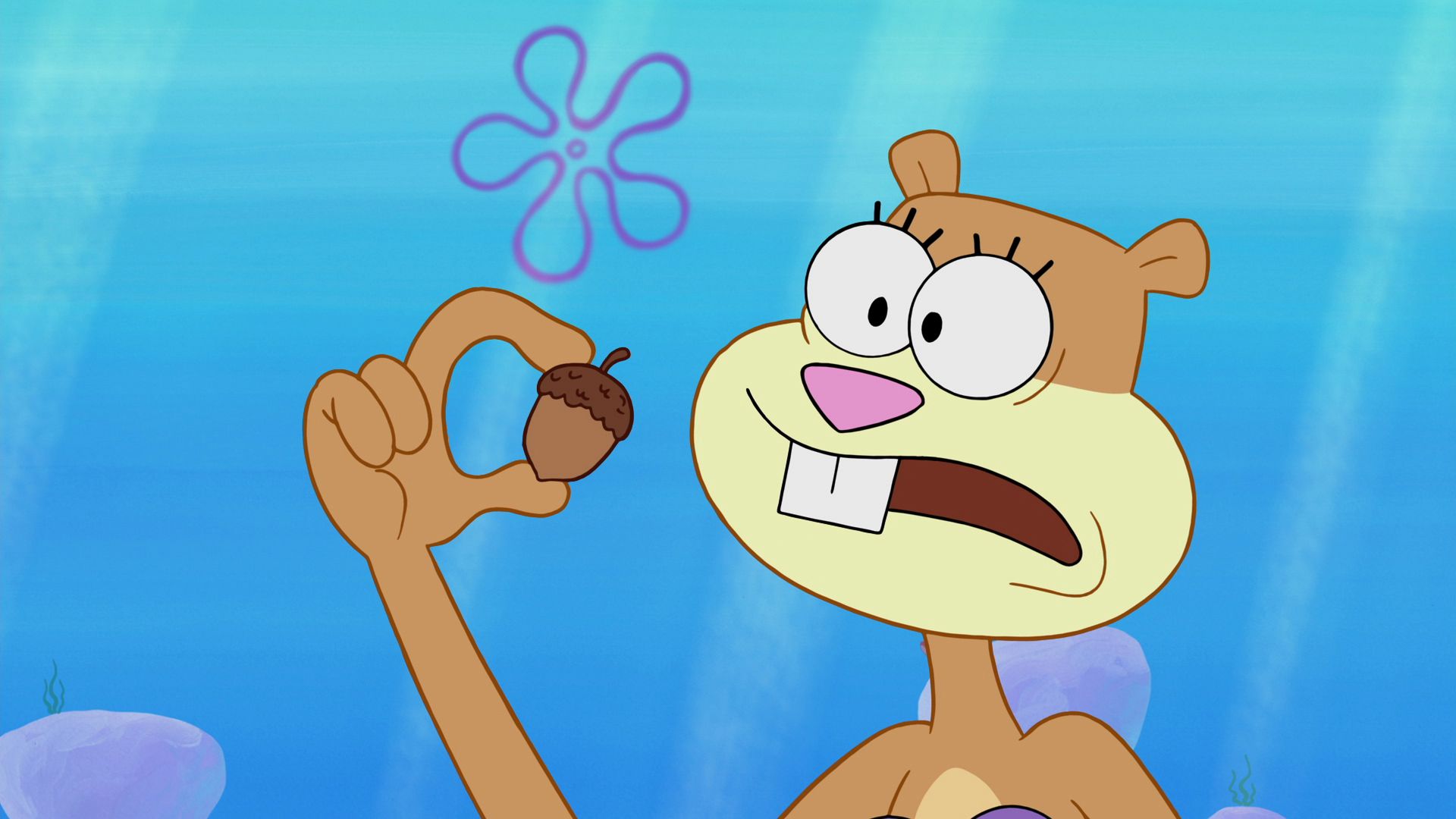 もっとどんぐりを！／カニカーニの掲示板