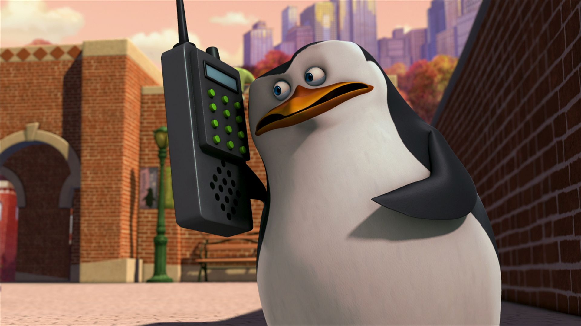 秘密のトンネル／最後のドードー