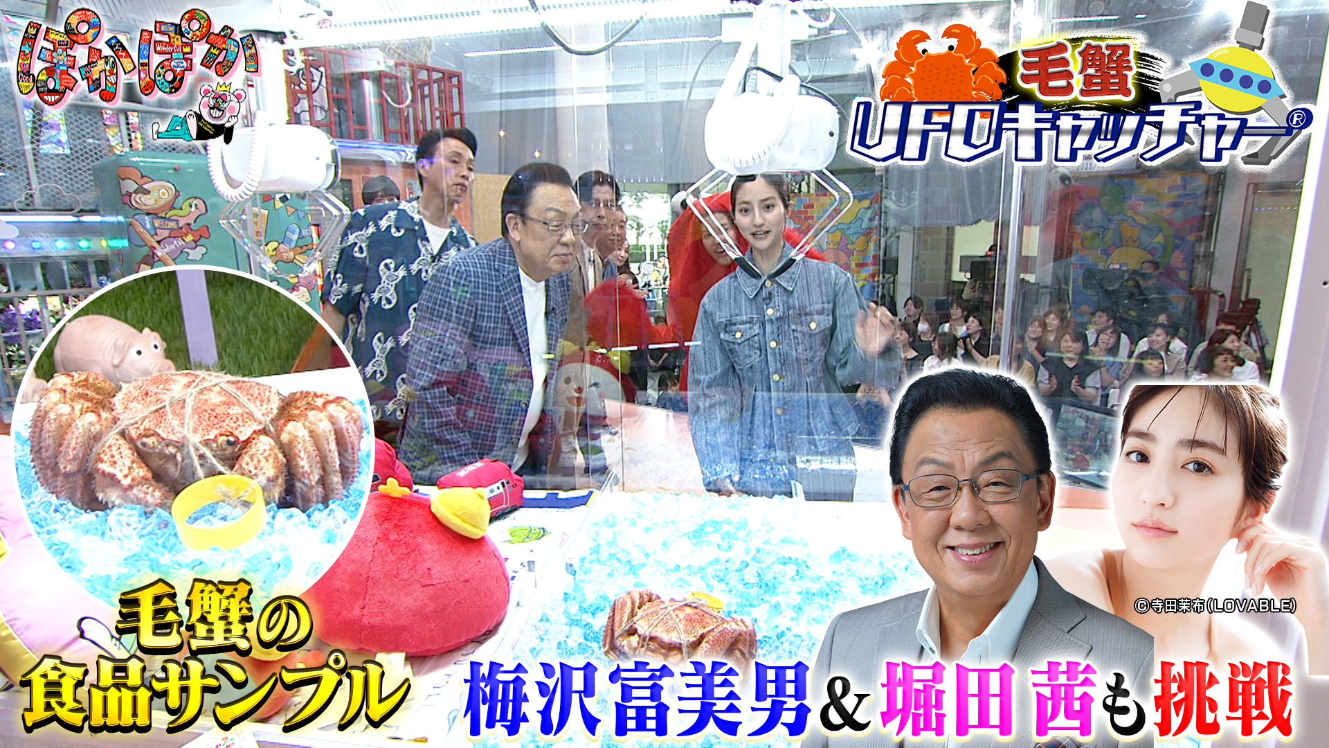 金曜（2）梅沢富美男が毛蟹ゲームGETなるか