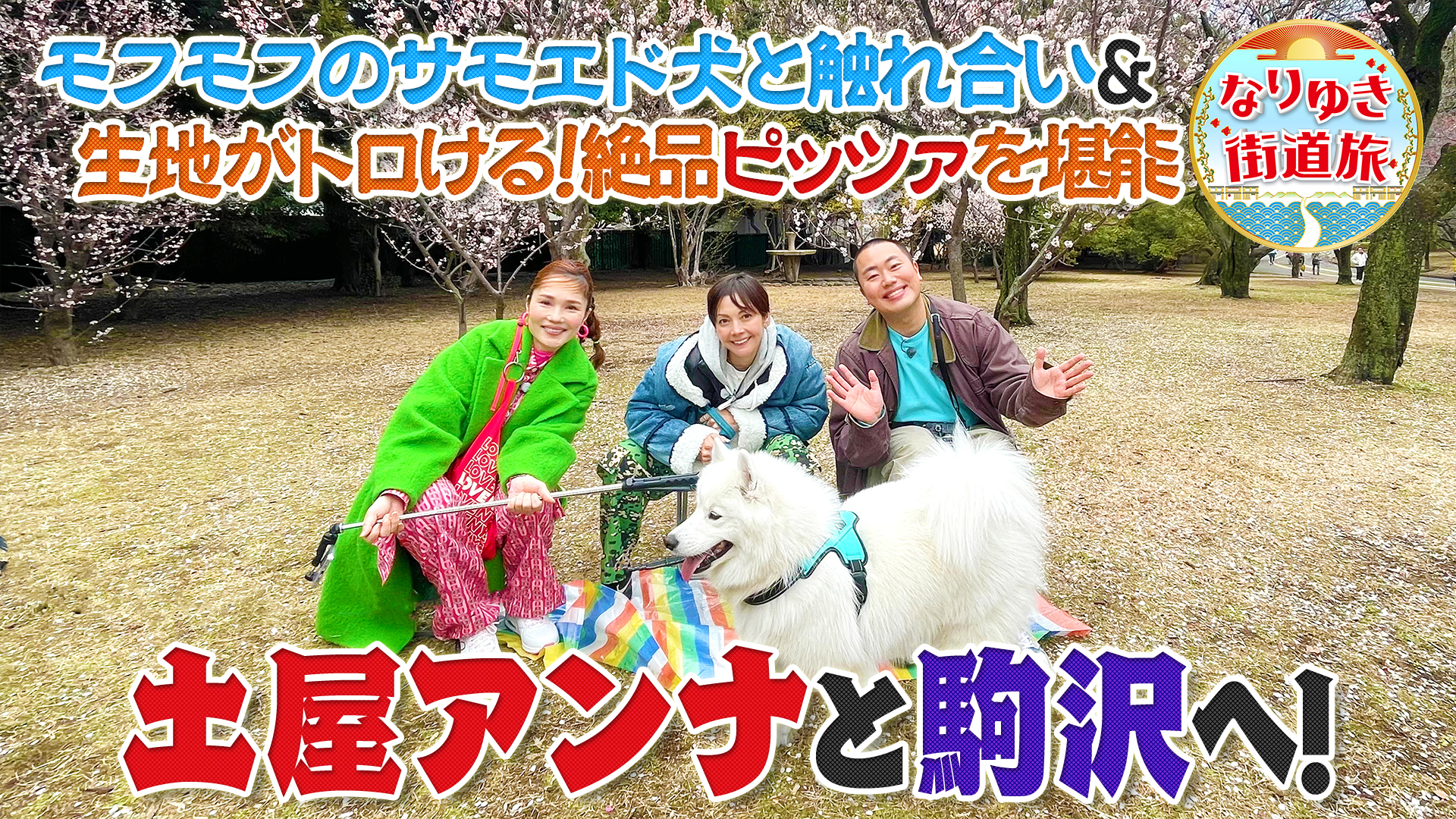 駒沢で極上ピザ＆濃厚プリン！予約殺到モフモフ犬カフェに大興奮