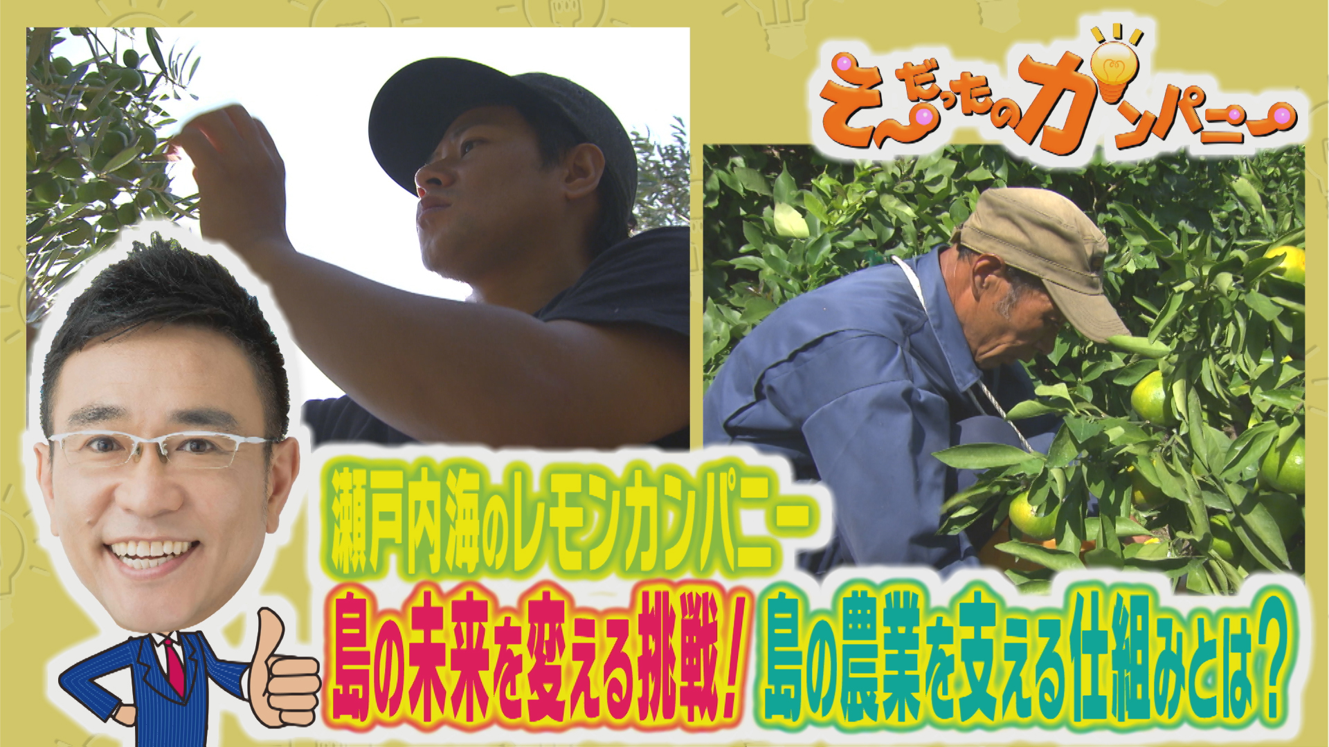 島の宝を未来へつなぐ挑戦！