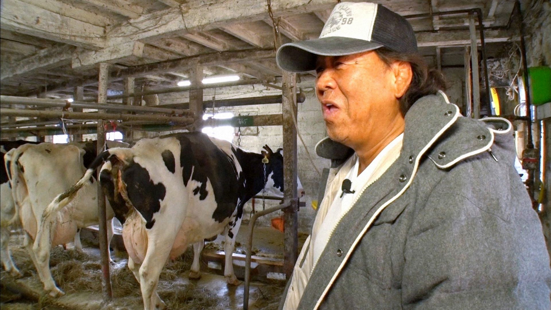 キングオブ神回が今夜決定☆大悟が選ぶおかわり賞ベスト10日曜深夜編