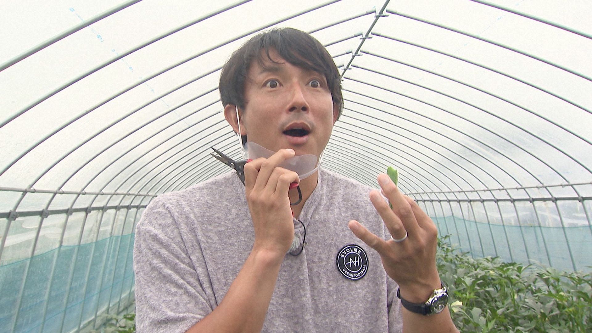 ＷＢＣの奇跡再来！世界一の二遊間コンビ川﨑宗則＆西岡剛㊙新境地