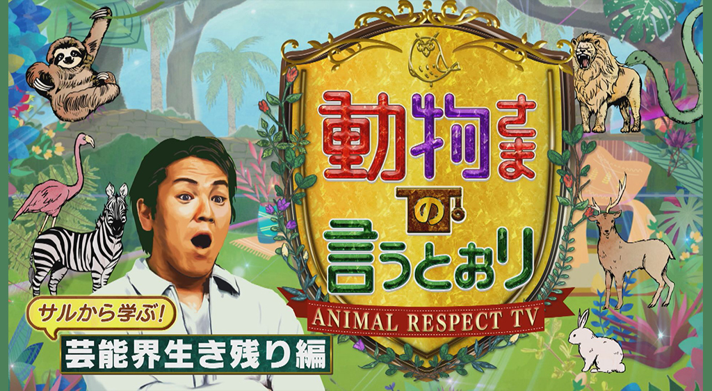 動物さまの言うとおり 狩野英孝 サルから学ぶ芸能界生き残り編 フジテレビの人気ドラマ アニメ 映画が見放題 Fod