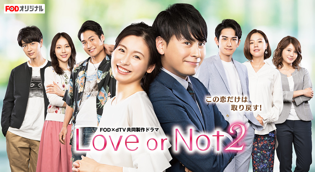 Love or Not2