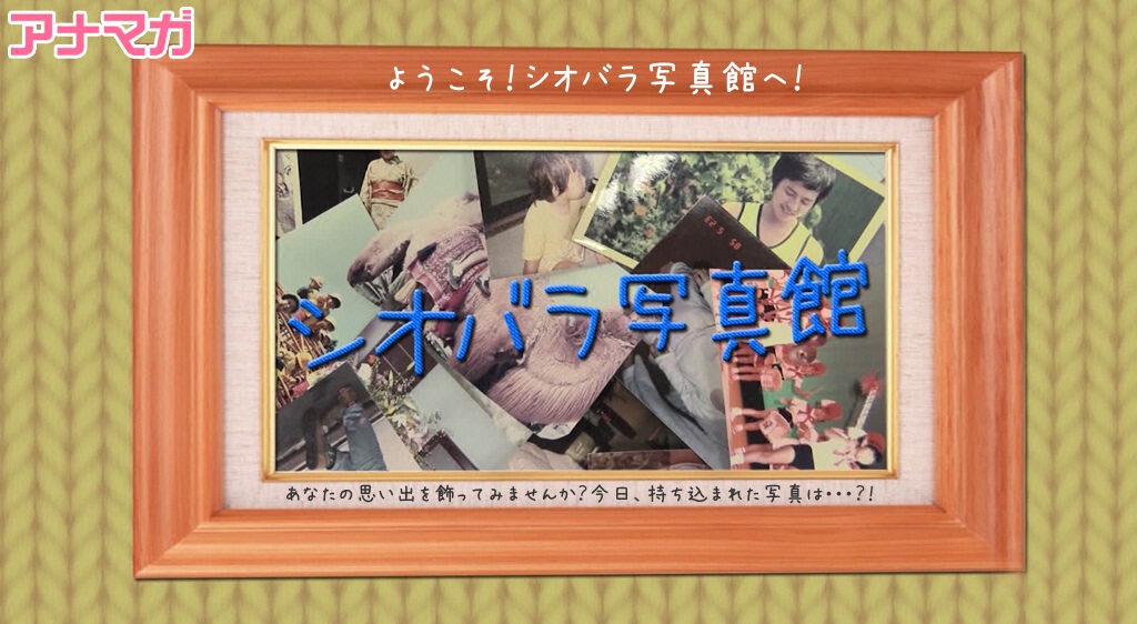 アナマガ シオバラ写真館 14 フジテレビの人気ドラマ アニメ 映画が見放題 Fod