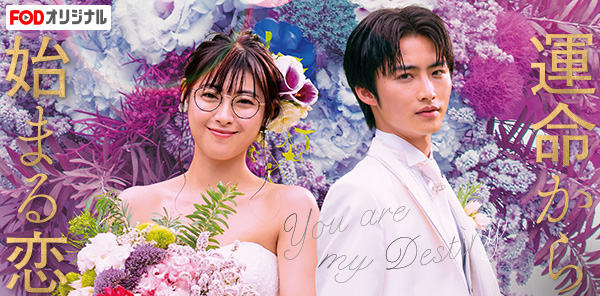 運命から始まる恋-You are may Destiny-