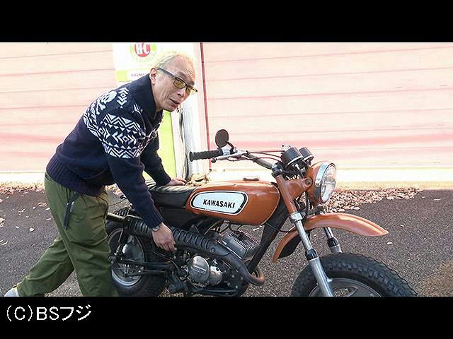 次々とバイソンなのだ。