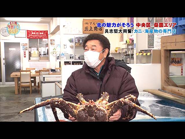 桑園エリア