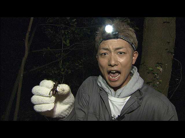 第13回