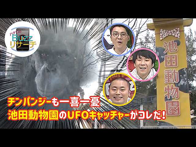 #78 池田動物園の衝撃的なUFOキャッチャー