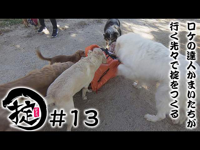 #13 謹賀新年!動物たちと触れ合おう!!